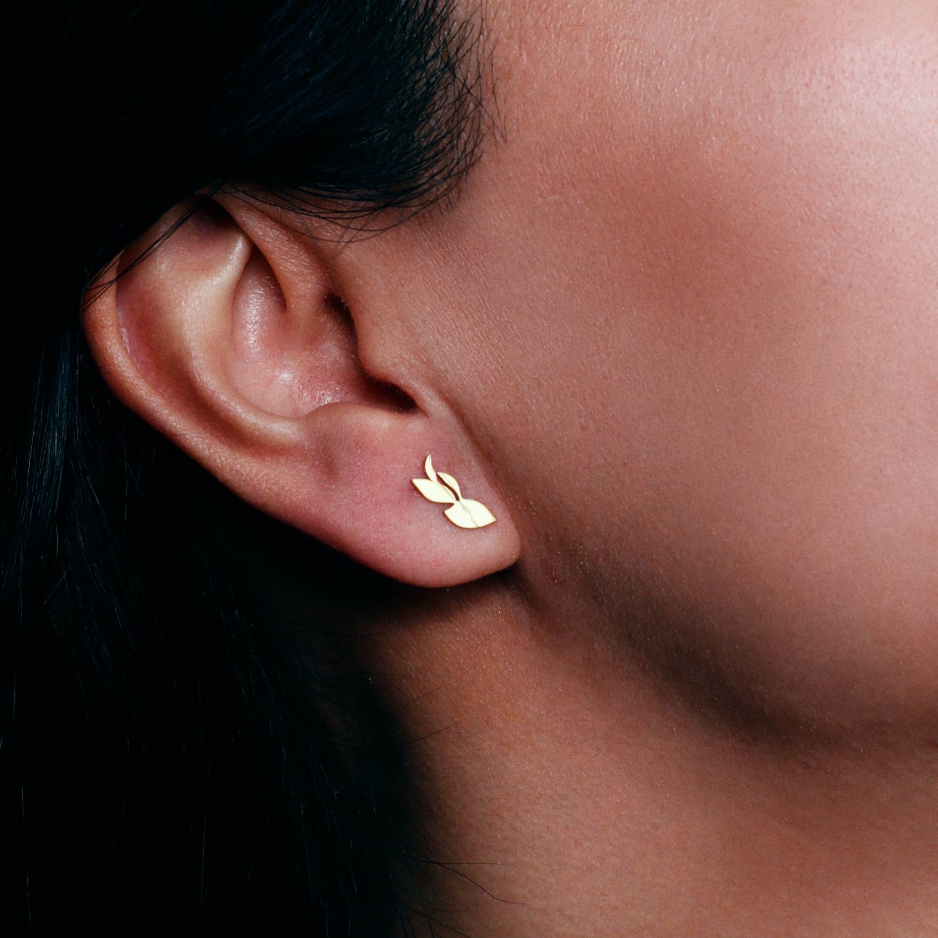 Boucles d'oreilles petits rameaux - Acier inoxydable