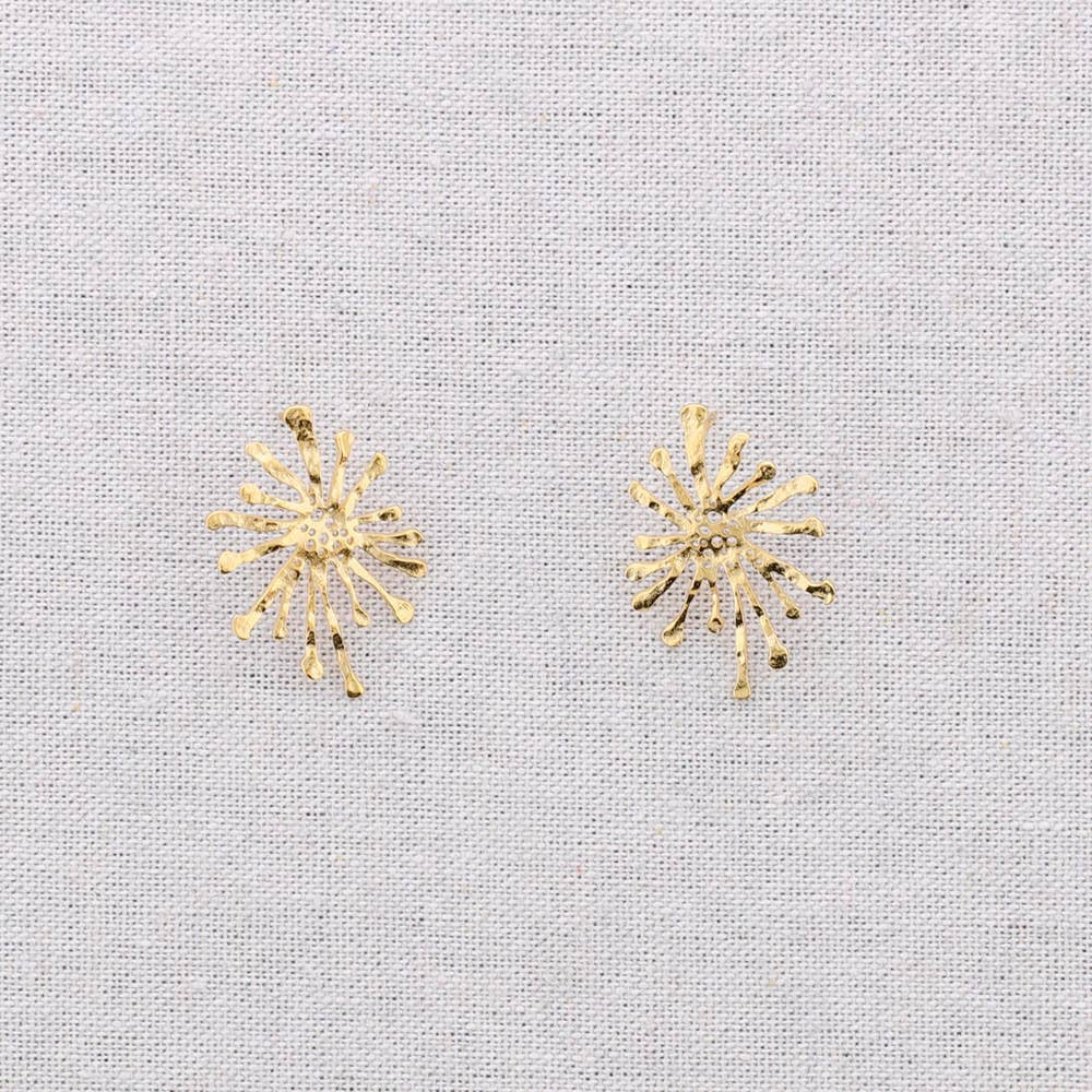 Boucles d'oreilles fleur en acier